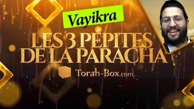 Les 3 Pépites de la Paracha Vayikra