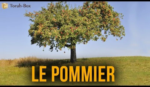 Le pommier
