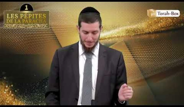 Les 3 Pépites de la Paracha Chéla'h Lekha