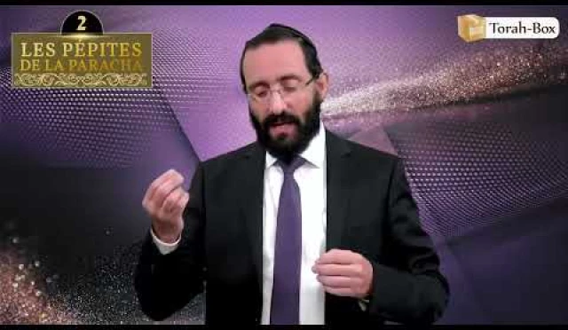 Les 3 Pépites de la Paracha Choftim
